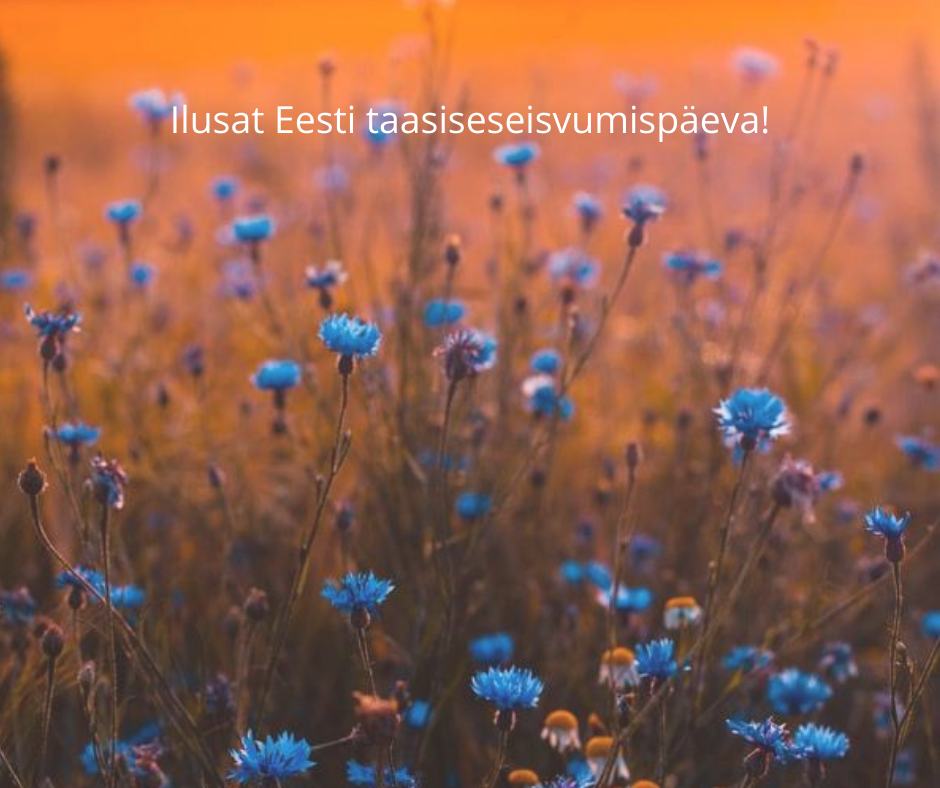 Ilusat Eesti taasiseseisvumispäeva! – Adaur.ee: kinnisvaraturg peopesal