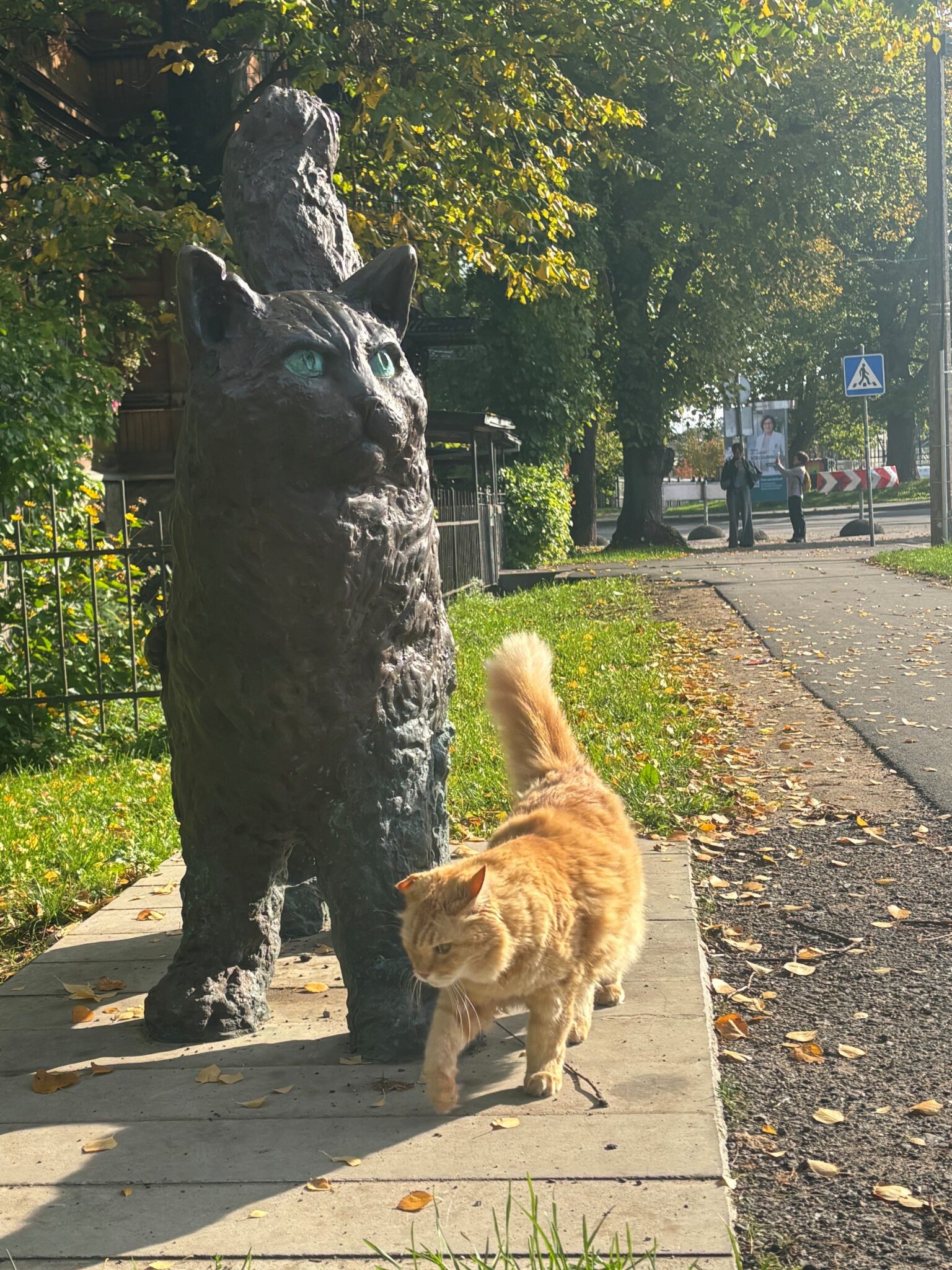 261012 Kass Augusti promenaadi ehitus algab 15. oktoobril 2 261012 Kass Augusti promenaadi ehitus algab 15. oktoobril 2